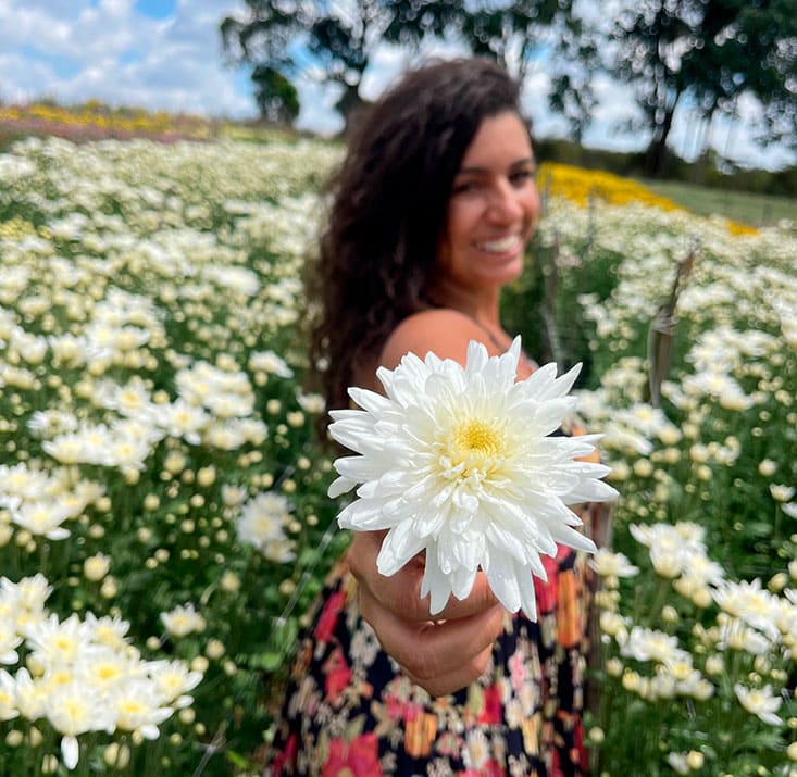 Fazenda-de-flores-Flora-Fogaca-e-Reijers-Sao-Benedito-CE-Comprimidas (10)