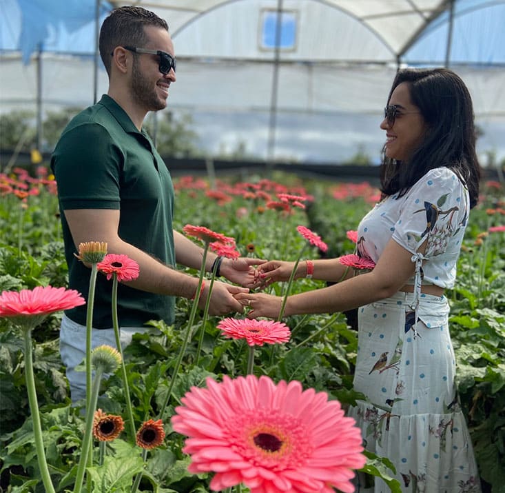 Fazenda-de-flores-Flora-Fogaca-e-Reijers-Sao-Benedito-CE-Comprimidas (12)