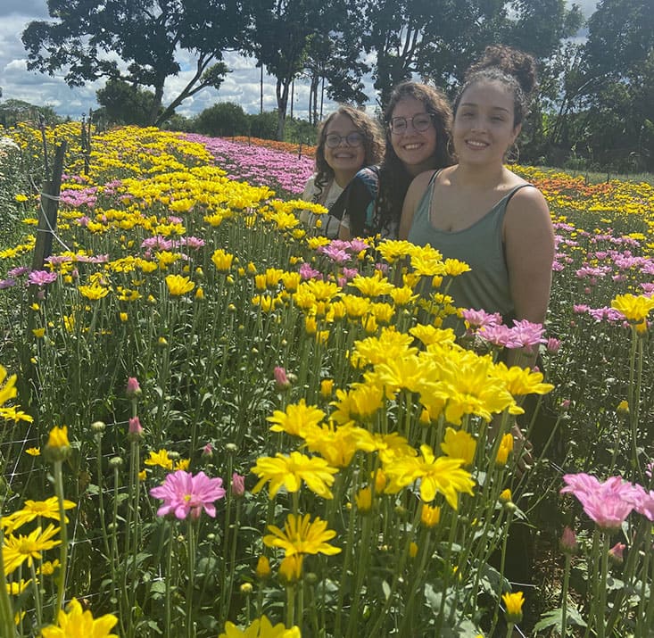 Fazenda-de-flores-Flora-Fogaca-e-Reijers-Sao-Benedito-CE-Comprimidas (20)