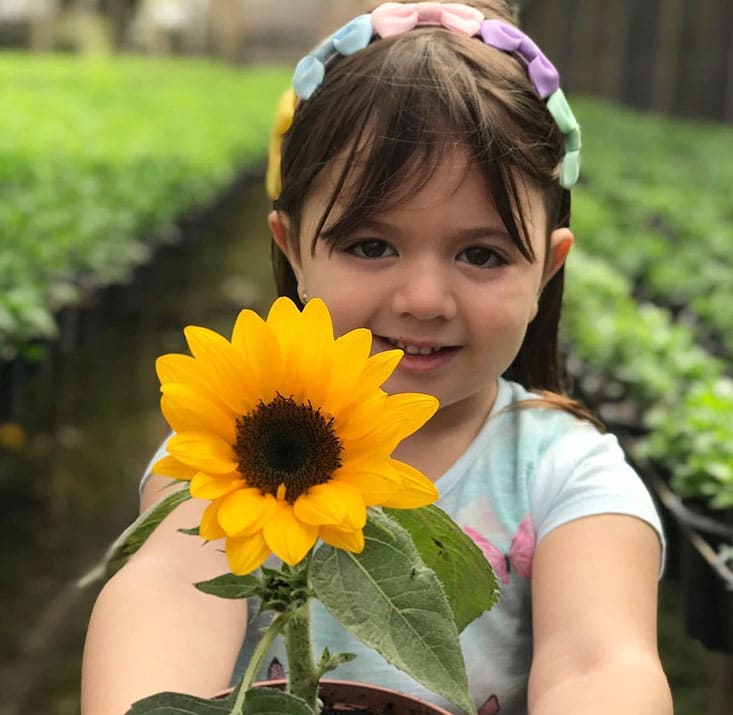 Fazenda-de-flores-Flora-Fogaca-e-Reijers-Sao-Benedito-CE-Comprimidas (23)