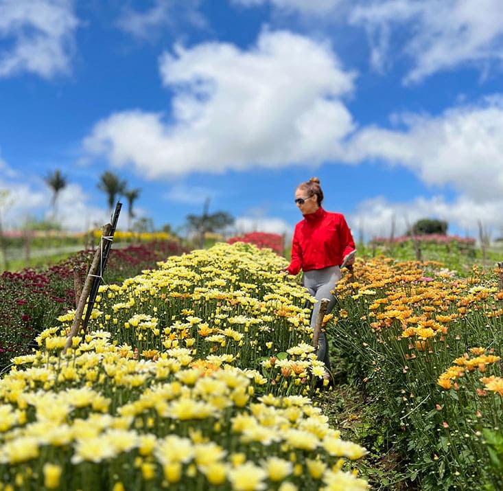 Fazenda-de-flores-Flora-Fogaca-e-Reijers-Sao-Benedito-CE-Comprimidas (26)