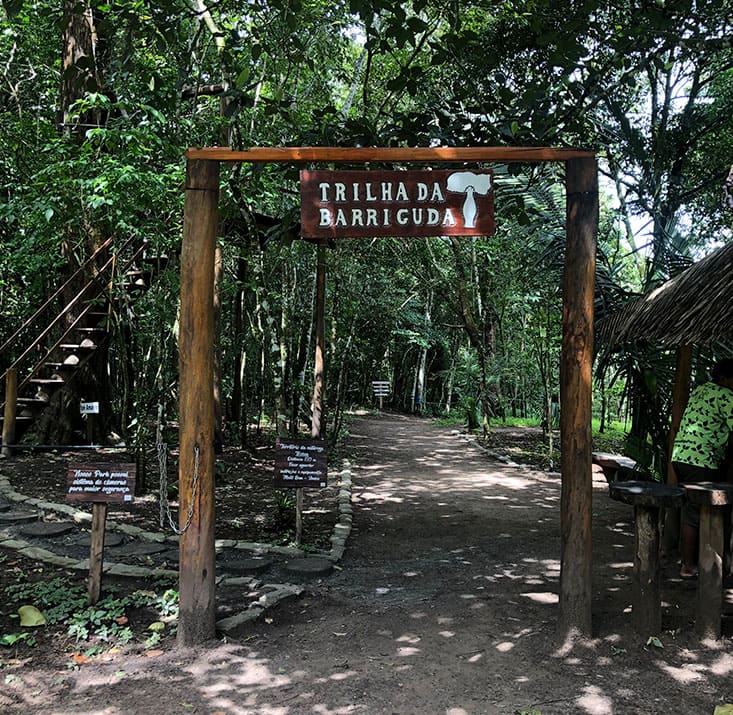 IPE-PARK-SAO-BENEDITO-CE-Comprimidas (10)