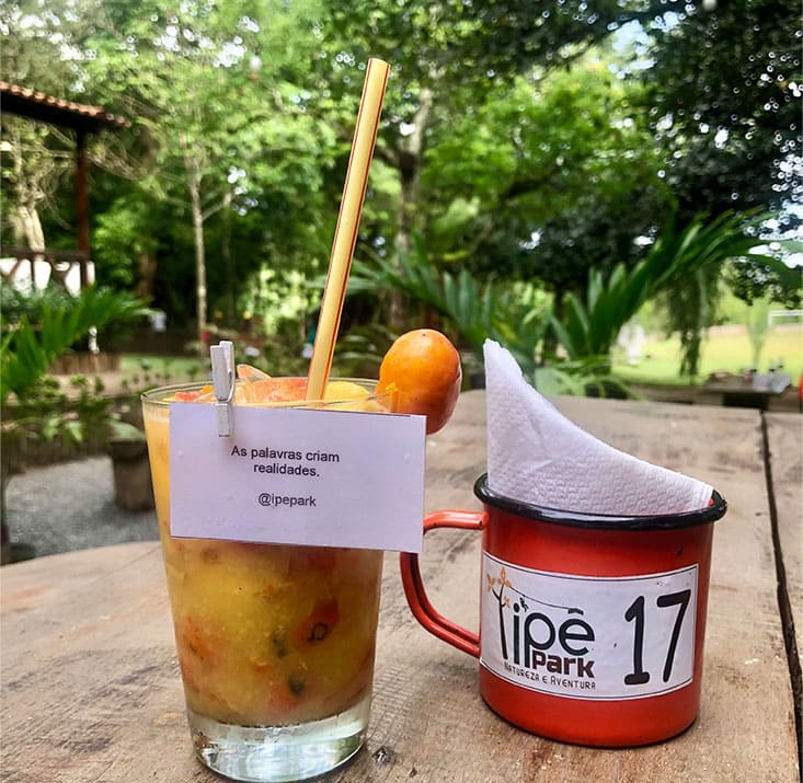 IPE-PARK-SAO-BENEDITO-CE-Comprimidas (13)