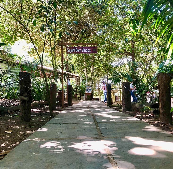 IPE-PARK-SAO-BENEDITO-CE-Comprimidas (14)