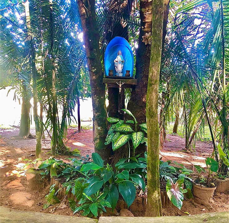 IPE-PARK-SAO-BENEDITO-CE-Comprimidas (16)