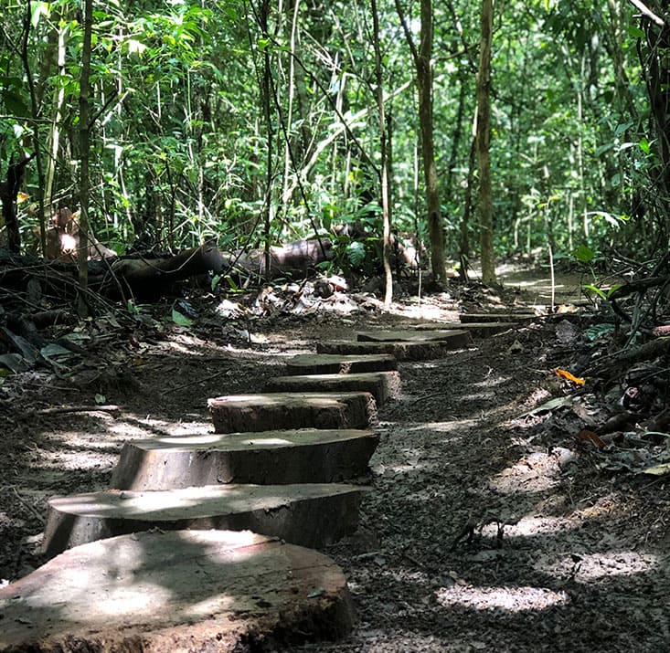 IPE-PARK-SAO-BENEDITO-CE-Comprimidas (9)