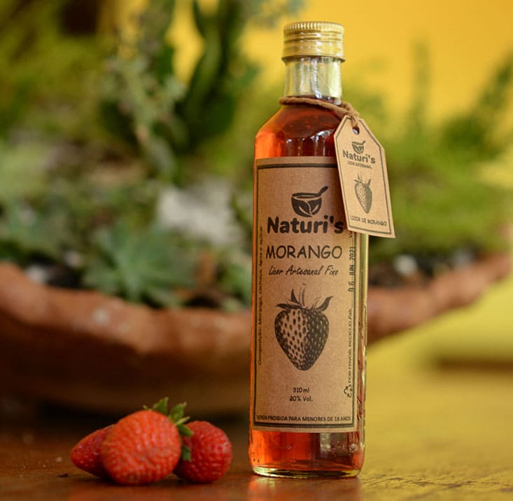 Naturelis-Ibiapina-CE-Comprimidas (4)