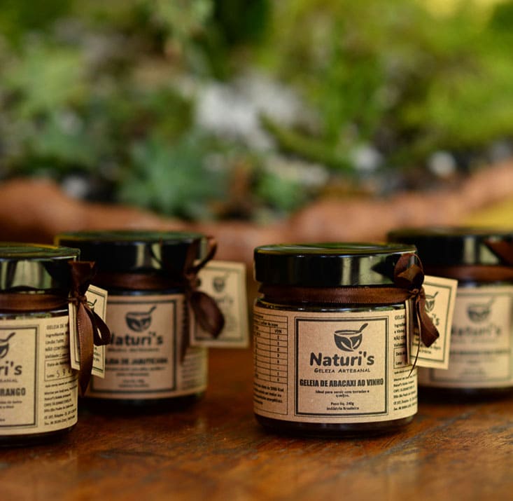 Naturelis-Ibiapina-CE-Comprimidas (5)