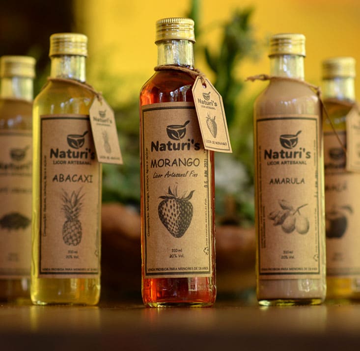 Naturelis-Ibiapina-CE-Comprimidas (6)