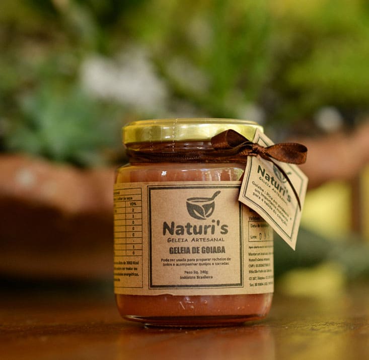 Naturelis-Ibiapina-CE-Comprimidas (7)