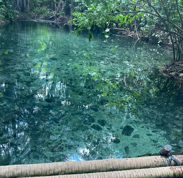 Olho-dagua-das-Frecheiras-Cocal-PI-Comprimida (2)