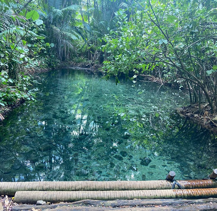 Olho-dagua-das-Frecheiras-Cocal-PI-Comprimida (3)