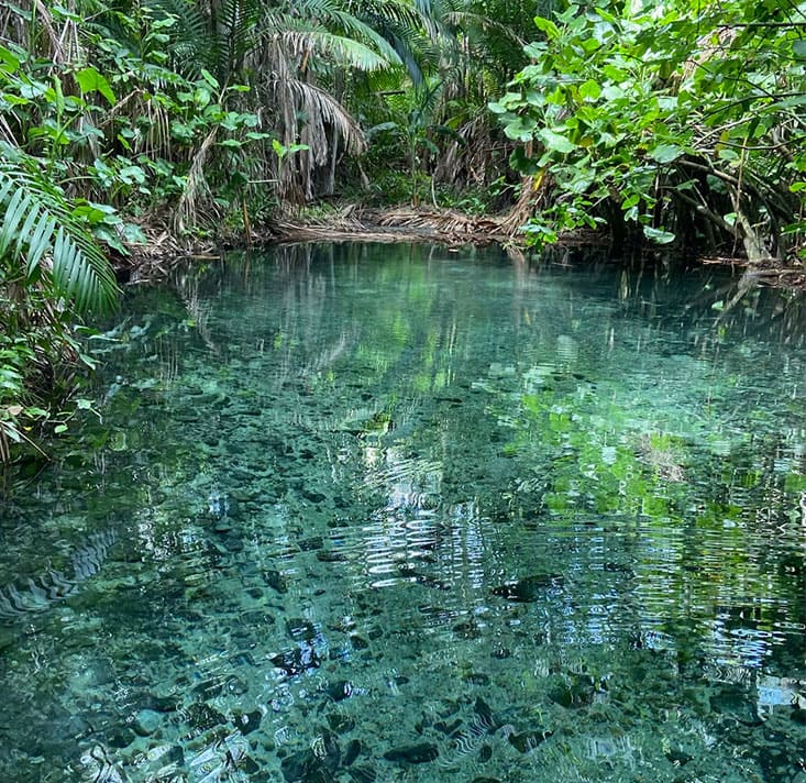 Olho-dagua-das-Frecheiras-Cocal-PI-Comprimida (7)